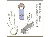 「そこに座ってろよな」目線が近いと安心するの？ 忙しいときに「構えアピール」する猫