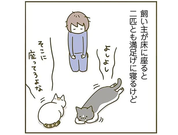 「そこに座ってろよな」目線が近いと安心するの？ 忙しいときに「構えアピール」する猫