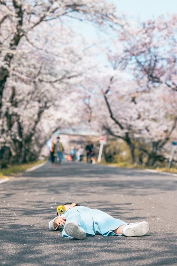 桜でもイヤイヤ▶ご機嫌なお花見もあります！（⇒次へ）