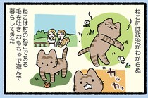 【走れメロスなねこ】ねこには政治が分からぬ。けれど人一倍敏感なものは？