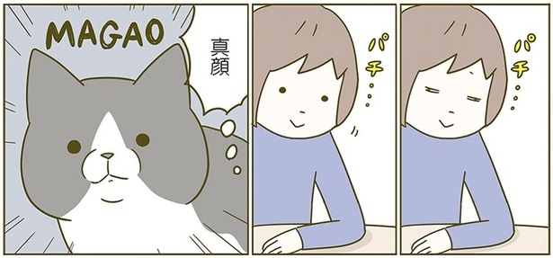 真顔