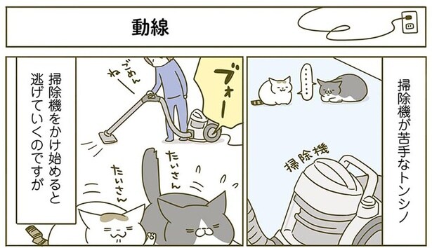 動線