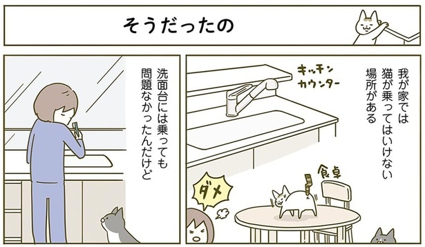 そうだったの