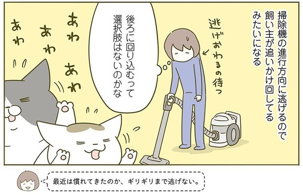 最近は慣れてきたのか…