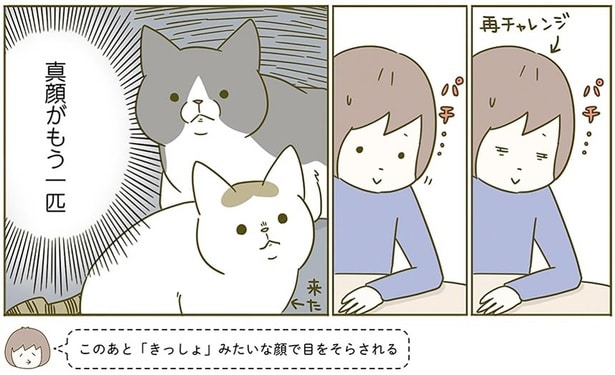 真顔がも一匹