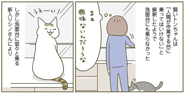 興味ないんだろうな