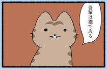 【吾輩は猫である】胸を張って主張するねこ。名前はまだない？