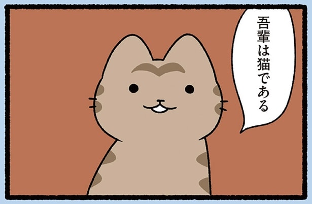 【吾輩は猫である】胸を張って主張するねこ。名前はまだない？