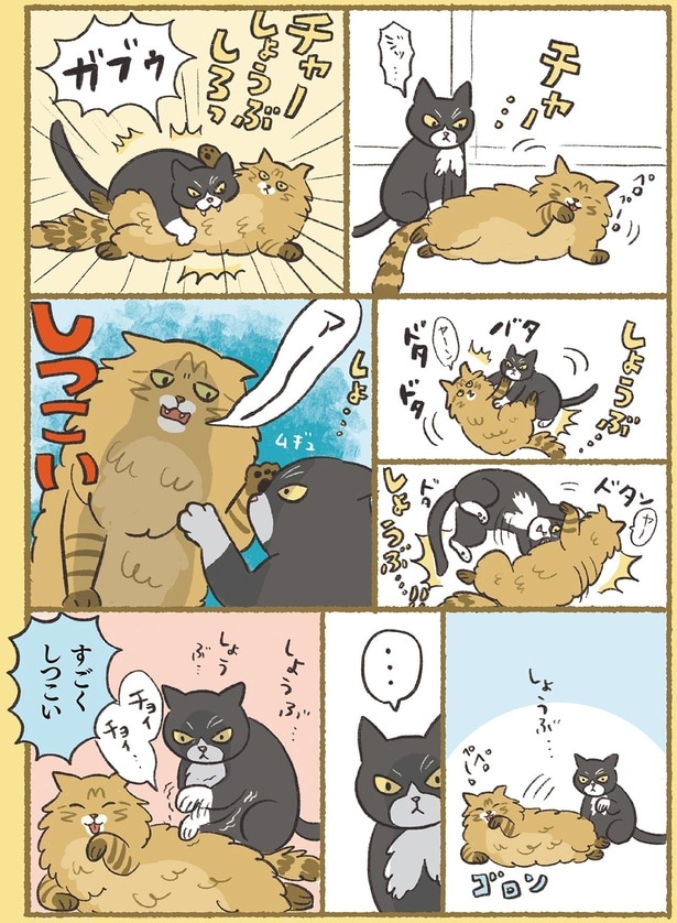 しつこい
