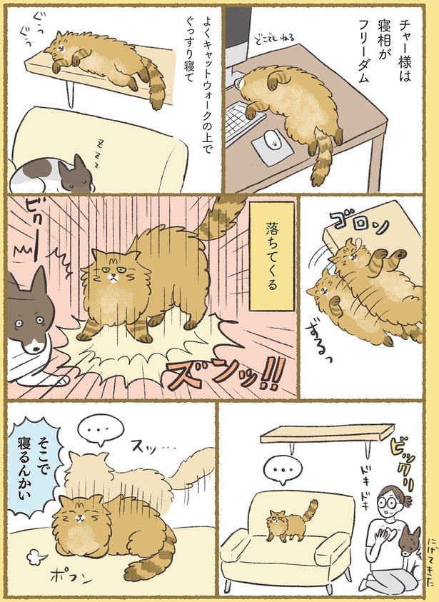 そこで寝るんかい