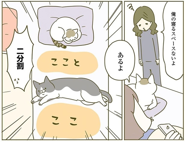 二分割