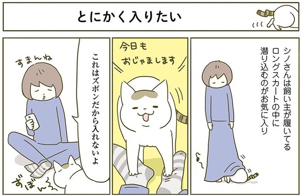 とにかく入りたい