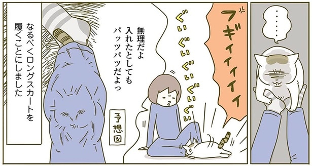 予想図