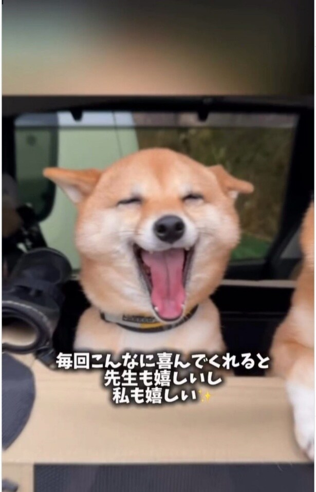 毎回大喜び▶はなまるちゃんの日常（⇒次へ）