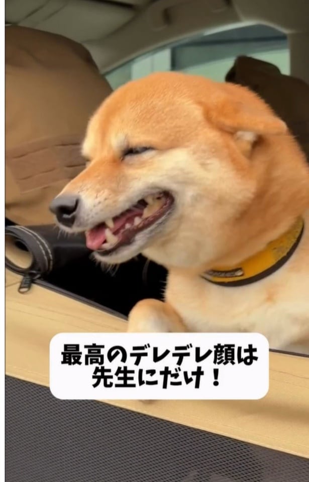 目を細めてうっとり▶先生が近づいてくると…（⇒次へ）