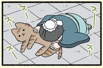 【過ぎたるは及ばざるが如しとねこ】ねこに夢中！ 弟子には師の教えも届かない