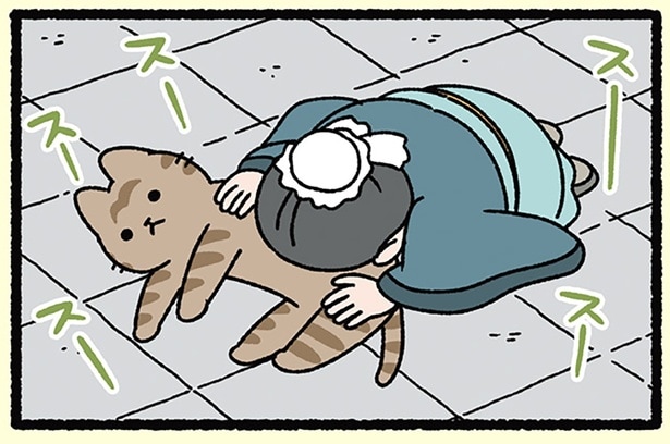 【過ぎたるは及ばざるが如しとねこ】ねこに夢中！ 弟子には師の教えも届かない