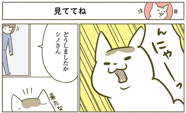 どうしましたか