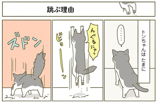 飛ぶ理由