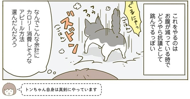 抗議として飛んでるっぽい