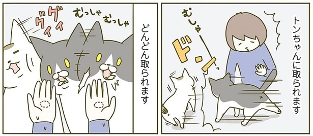 どんどん取られます