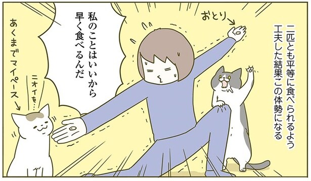 あくまでマイペース