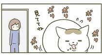 「カリカリ食べるから見ててね」食事の様子を見てほしい猫 VS 仕事したい飼い主