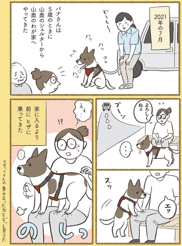 家に入るより前にヒザに乗ってきた