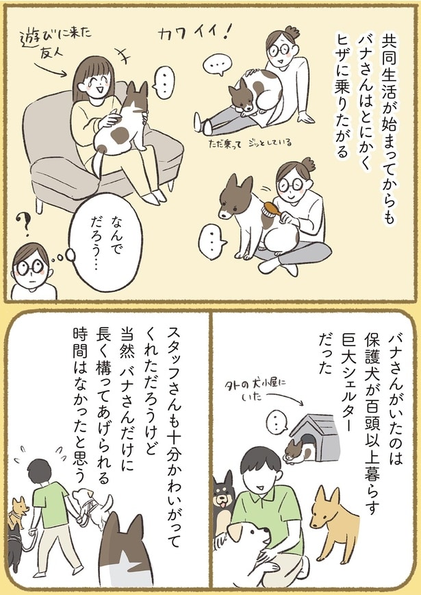 なんでだろう…