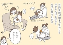 とにかくヒザに乗りたがる！保護犬の行動はもしかして？