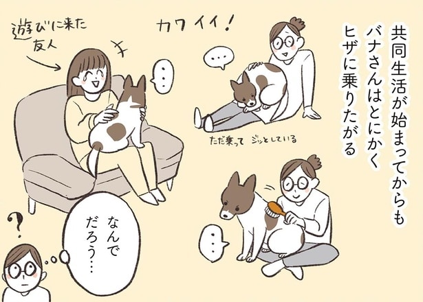 とにかくヒザに乗りたがる！保護犬の行動はもしかして？