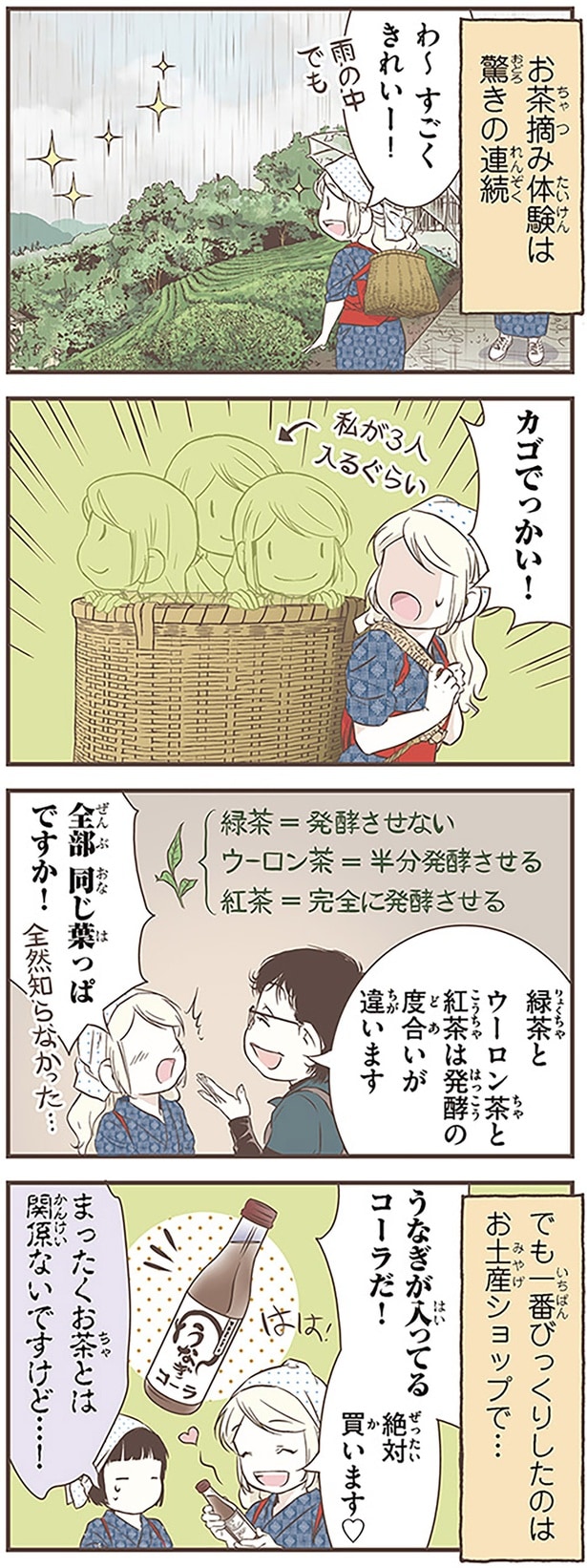 まったくお茶とは関係ないですけど…！