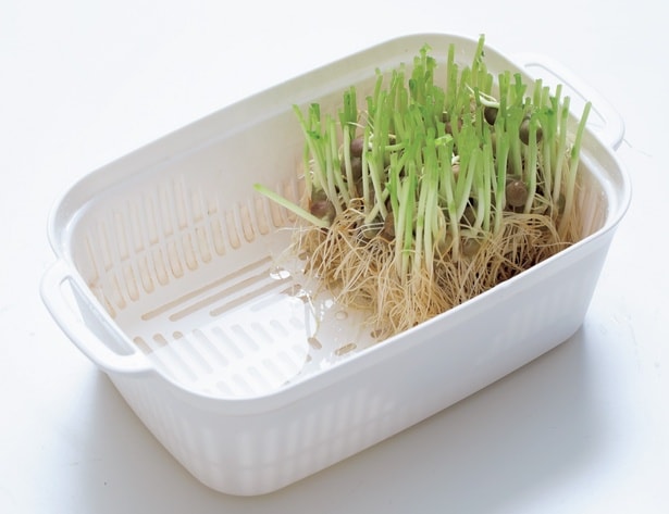 豆苗以外の野菜にも活用可能