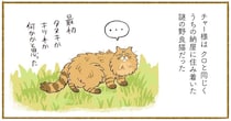 タヌキ？キツネ？うちの長屋に住みついた謎の野良猫は甘えん坊