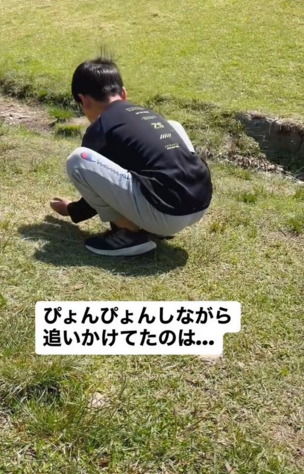 ぴょんぴょんと飛び跳ねている▶追いかけていたのは…（⇒次へ）