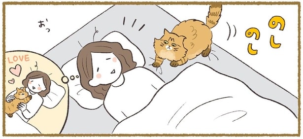 のしのし