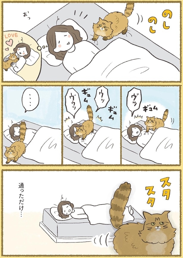 通っただけ…