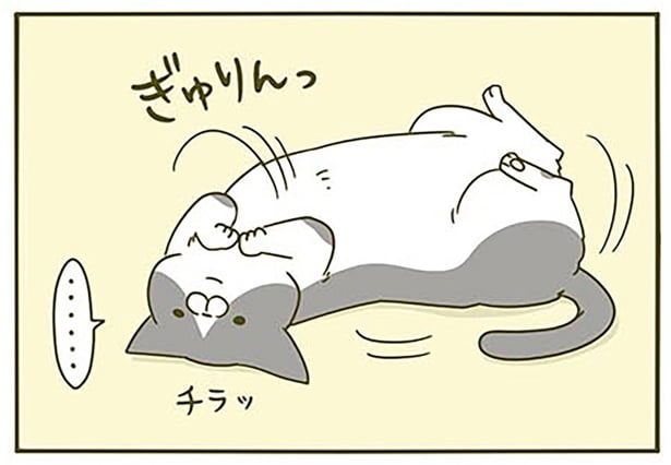 チラッ
