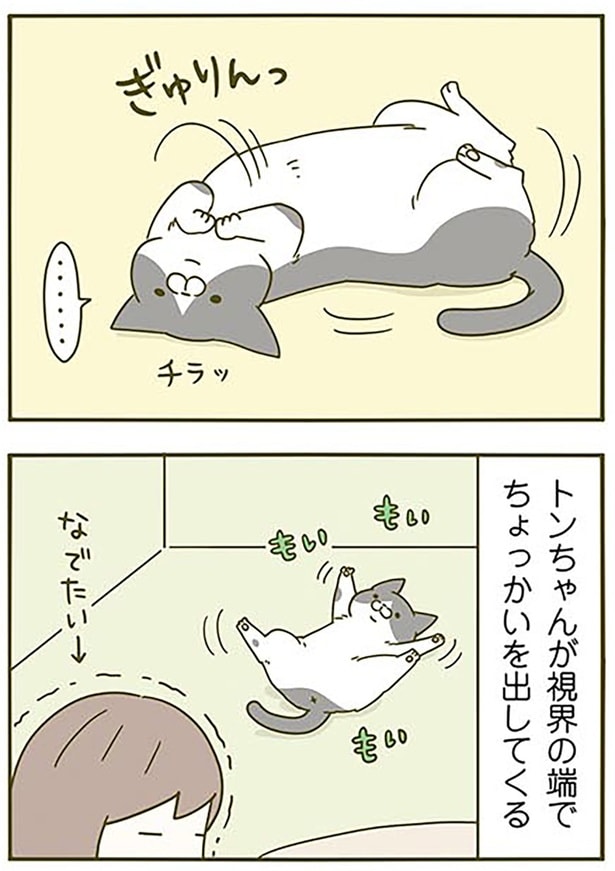 視界の端で…