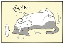 構えないときばっかり！ 動きながらチラチラ見てくる猫が愛らしい