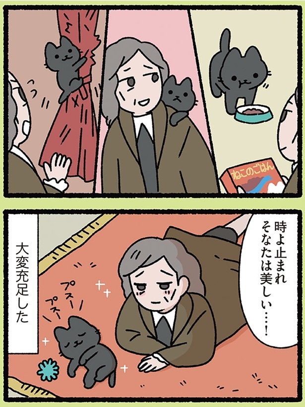 人生にはねこが必要