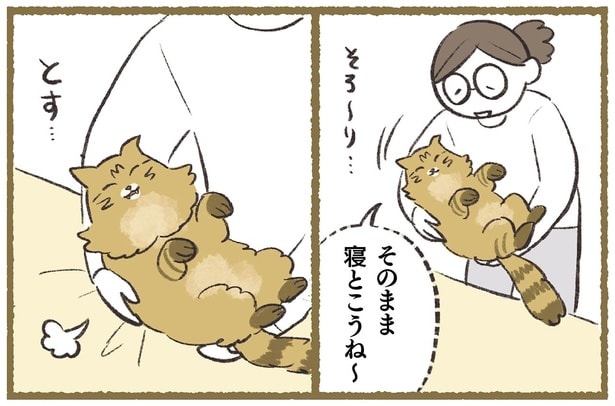 まるで赤ちゃん！たぬきみたいな猫の背中にある敏感センサー