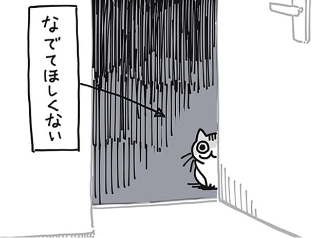 何かを求められている？ ネコが来て数ヶ月、未だ分かってあげられないこと