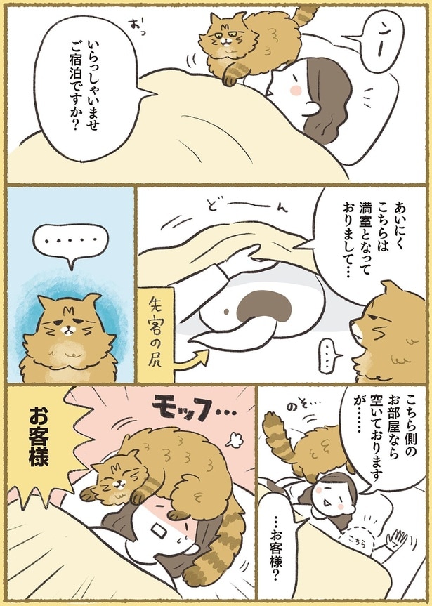 …お客様？