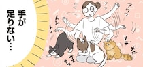 愛情3倍！我が家の3匹が可愛すぎて、手が足りない！