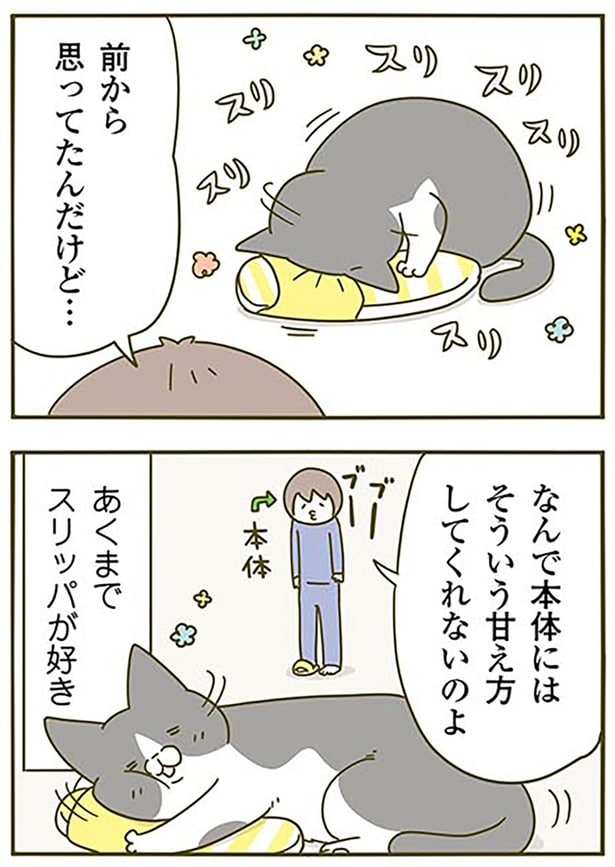 あくまでスリッパが好き