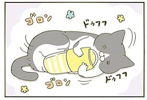 人間のスリッパを奪う猫。飼い主の匂いが好きなのかなと思っていたら