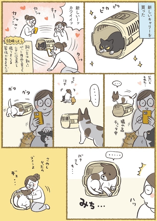 新しいーッ　カワイイッ