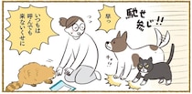 「いつもは呼んでも来ないのに！」ナイショのおやつにしようとしたら