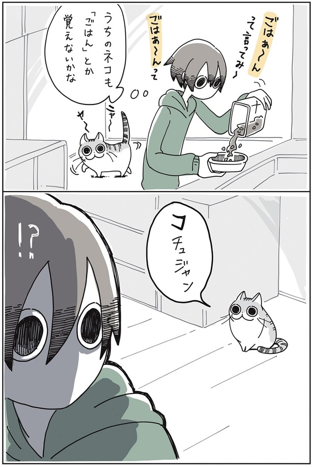 コチュジャン